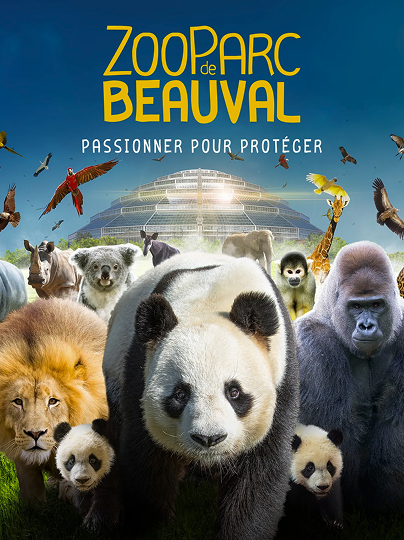 Design sans titre (7)